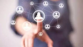 北京軟件開發公司排名與大型軟件開發公司概覽